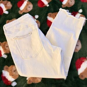 &Denim Vintage Slim high waist ankle jeans